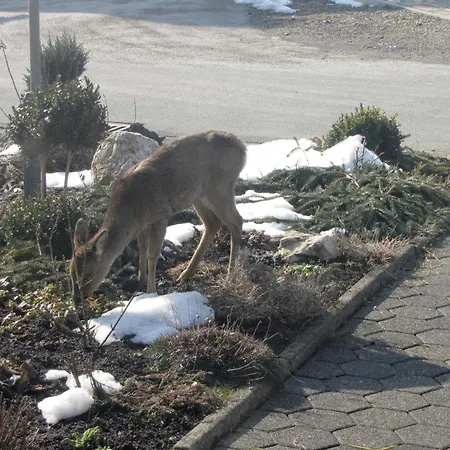 Apartment Marienweg *