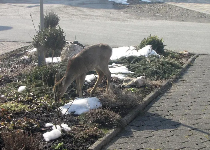 Apartamento Marienweg *